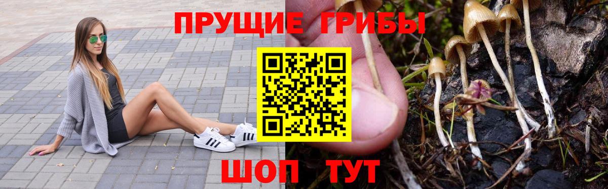 Галлюциногенные грибы Psilocybine cubensis  Вход с VPN  Амурск 